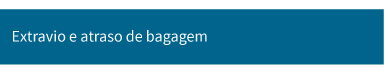 extraivo-bagagem